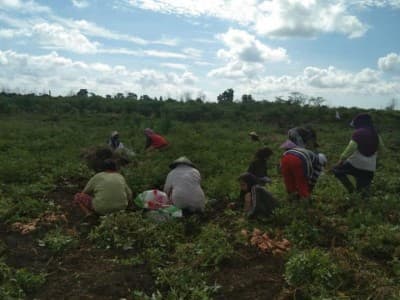 BRG Diskusikan Peran Perempuan Menjaga Lahan Gambut