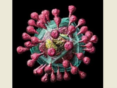 Beberapa Cara yang Dapat Melemahkan Virus Corona