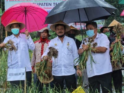 Di Tengah Wabah Corona, Ekspor Pertanian Indonesia Naik Sebesar USD 320 Juta