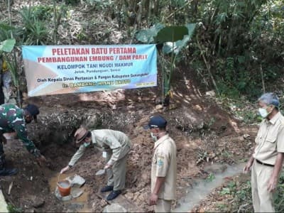 Punya DAM Parit, Petani di Gunungkidul Berharap Bisa Panen Tiga Kali