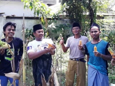 NU di Sumenep Serahkan Hasil Panen Raya kepada Duafa