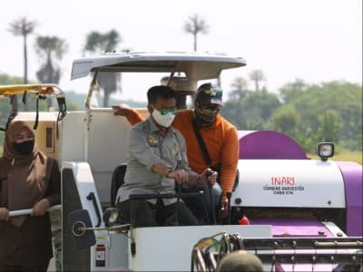 Mentan Syahrul Panen Padi Inbrida di Kabupaten Pandeglang