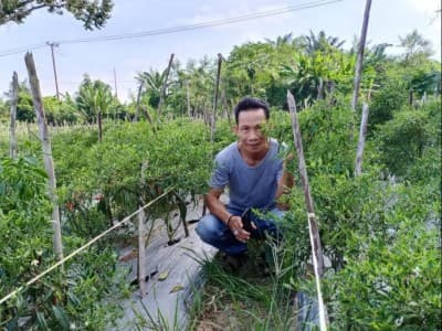 Ustadz Nurazmi, Dai Gambut yang Bahagia Menjadi Petani  