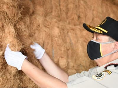 Jangan Anggap Murah, Serabut Kelapa Melaju di Pasar Internasional