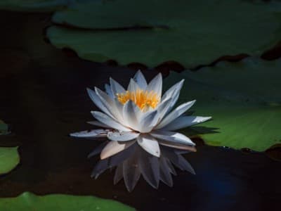 Tiga Langkah Berubah Lebih Baik