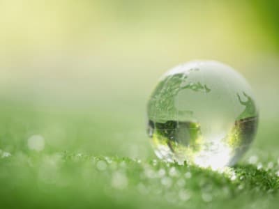 Ramadhan, Lingkungan, dan Umat Manusia