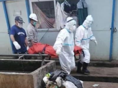 TKA Tiongkok Meninggal di Sulteng, Pemerintah Harus Rapid Tes Semua Pekerja Asing