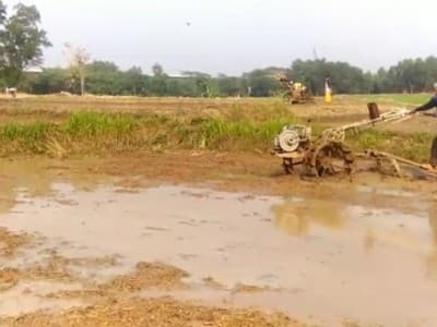 BPS: Data Tunggal Produksi Pangan