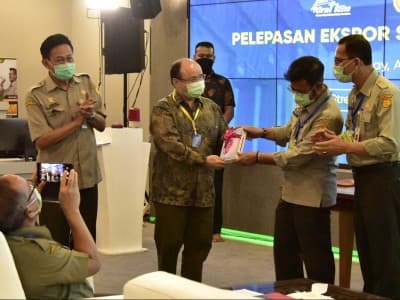Kementan: Produksi Pangan Indonesia Cukup Kuat dan Terkendali