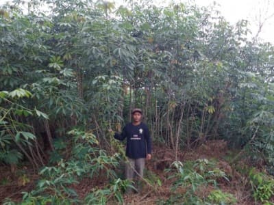 Cara Ustadz Mahmud Kampanyekan Pemulihan Lahan Gambut 