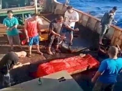 Soal ABK Dilarung ke Laut, Harus Investigasi sesuai Hukum Internasional