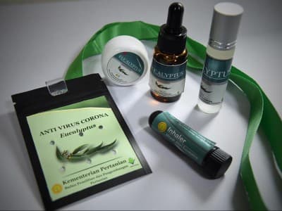 Kementan Luncurkan Antivirus Corona Berbahan Eucalyptus