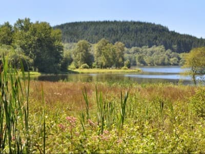 Merawat Kelestarian Alam, Menjaga Amanah Sang Pencipta
