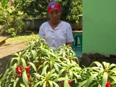 Akibat Covid-19, Pedagang Bunga Sekar di Kota Banjar Kehilangan Penghasilan