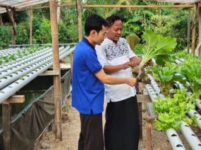Jaga Ketahanan Pangan dengan Bercocok Tanam Sayuran Hidroponik