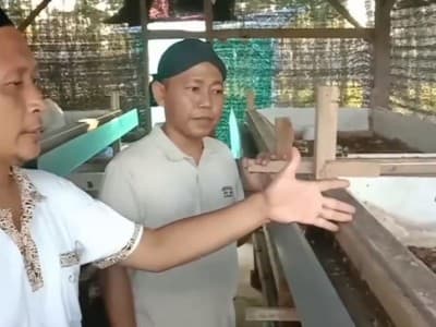 Di Pesantren Ini, Lalat Bawa Manfaat Ubah Sampah Jadi Berkah