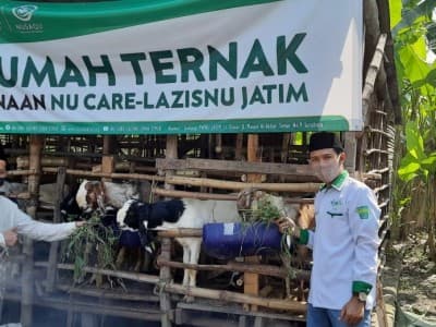 Sambut Idul Adha, Rumah Ternak LAZISNU Jatim Siapkan Hewan Kurban