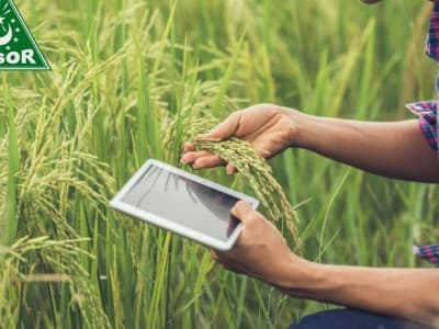 Di Tengah Pandemi, GP Ansor Terus Kawal Kedaulatan Petani