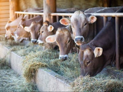 Menyiarkan Nama-nama Orang yang Berkurban Termasuk Riya’?