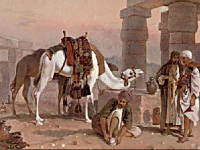 Keistimewaan Unta dalam Mukjizat Al-Qur'an