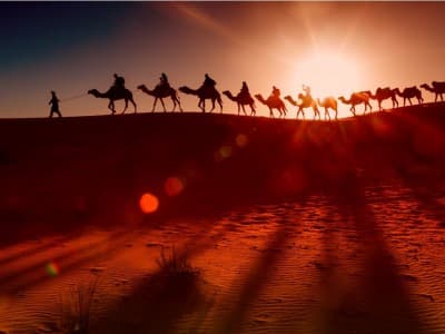 Syurahbil bin Hasanah, Sahabat Nabi yang Wafat Terkena Wabah