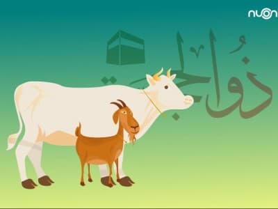 Status Hewan Kurban dari Non-Muslim