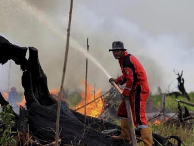 BRG Ingatkan Bahaya Karhutla bagi Kesehatan Masyarakat