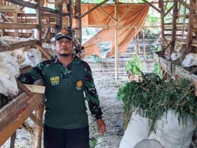 Khidmah di Banser, Wito Tak Lupa Kewajiban Hidupi Keluarga dengan Ternak Kambing