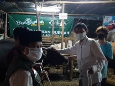 Meski Pandemi, Penerimaan Hewan Kurban oleh NU Care-LAZISNU Meningkat