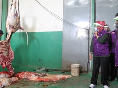 Warga Brebes Dianjurkan Sembelih Kurban di Rumah Pemotongan Hewan