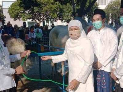 Penyembelihan Hewan Kurban NU Jatim Patuhi Ketentuan Pemerintah