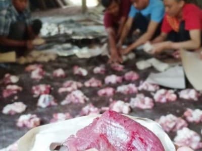 Penjelasan Makna Kurban dalam Konteks Sosial dan Kebangsaan