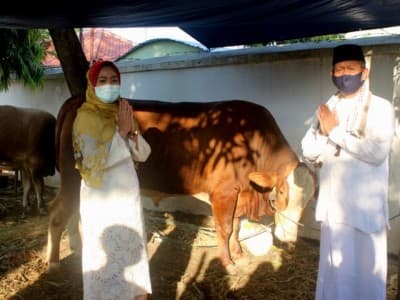 Bupati Brebes Serahkan Kurban Tiga Sapi dan Satu Kerbau