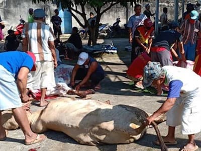Keteguhan Iman Nabi Ibrahim dan Ismail Bisa Kita Jadikan Teladan