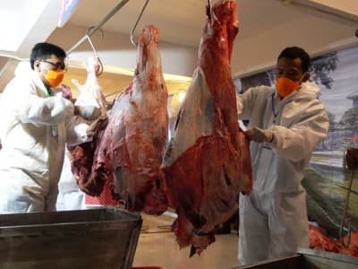 Di Balik Sukses Masjid Ini Gelar Kurban dan Shalat Id Sesuai Prosedur Kesehatan