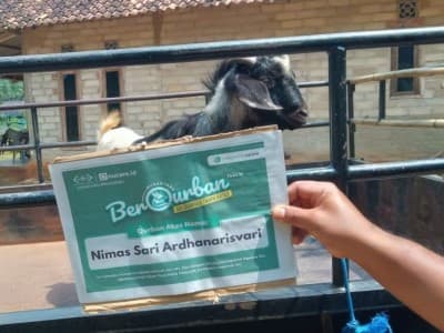 Idul Adha, LAZISNU Pringsewu Kelola 1.000 Lebih Hewan Kurban