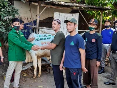15 Tahun Ansor Banser Jepara Rutin Berkurban dan Berbagi untuk Sesama