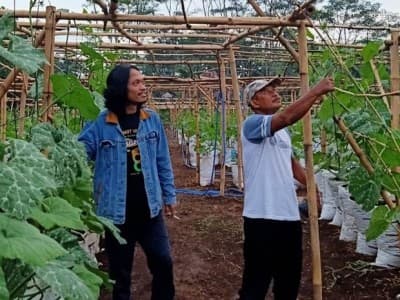 Lesbumi NU Pekalongan Kembangkan Agrowisata Labu Madu