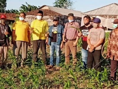 Lembaga Pengembangan Pertanian NU Jatim Tangani Hama Tikus