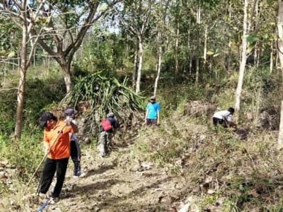 Ma'arif NU dan Perhutani Tulungagung Kerja Sama Pemanfaatkan Lahan untuk Perkemahan