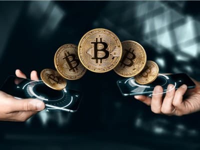 Belajar dari Kasus BTC-Panda: Begini Skema Ponzi Bisnis Haram Mata Uang Virtual