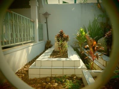 Ngipas-ngipasi Kuburan Istri Setiap Hari