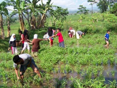 Pesantren Ekologi Ath-Thaariq Garut: Terapkan Kurikulum Bertani dan Berkebun