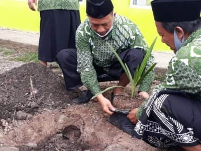 Penanaman 6 Batang Kurma Tropika, Tandai Hari Santri Ke-6 PCNU Pringsewu