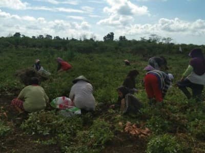 Soal Ekonomi Pancasila, Rais Aam PBNU: Islam Menjamin Kehidupan Masyarakat Miskin