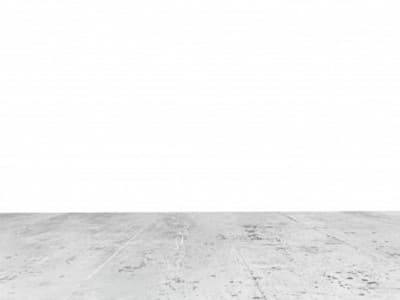 Apakah Najis Hukmiyyah Berlaku pada Najis Mughallazhah?