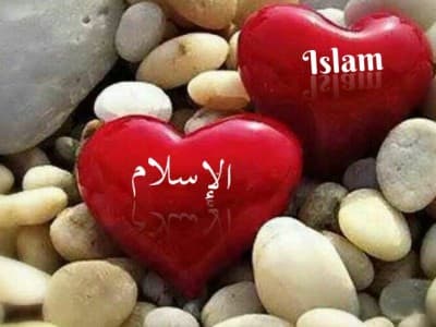 Dakwah Islam Ramah Perlu Diterapkan di Prancis