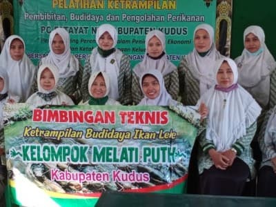 Selain Mudah Dibudidayakan, Fatayat NU Kudus: Lele Disukai dan Kaya Gizi