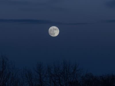 Percakapan Abu Yazid Al-Busthami Kecil dan Ayahnya