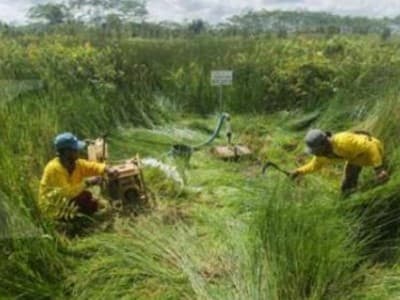 BRG Wujudkan Impian Warga Jambi Dapatkan Air Bersih dengan Mudah
